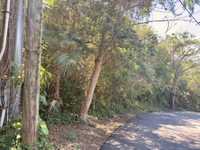 House 2934406860