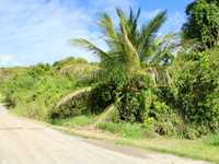 House 2920468727