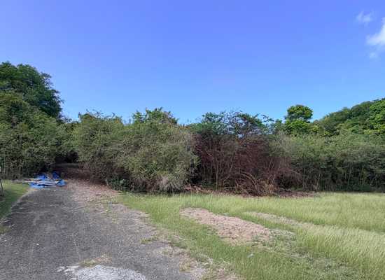 7-F Rattan QU, 26-570, Other, Lots and Land,  for sale - Dionne Nelthropp, Hibiscus Homes