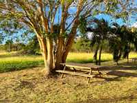 House 2923194885