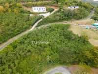 House 2924619196