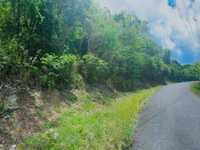 House 2924619933