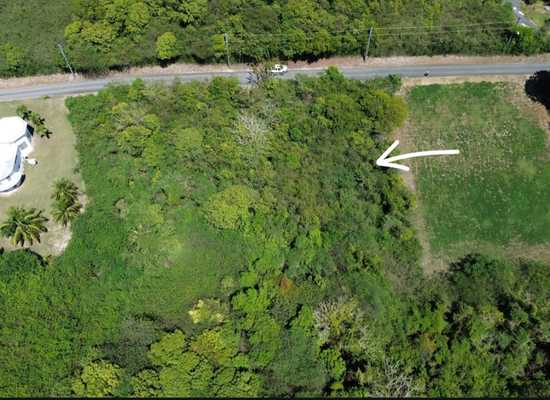 184 Mary's Fancy QU, 26-576, Other, Lots and Land,  for sale - Dionne Nelthropp, Hibiscus Homes