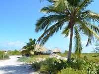 House 2927436069