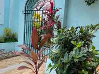 House 2930139524