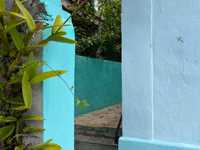 House 2930139534