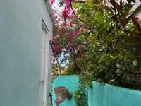 House 2930139564