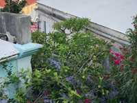 House 2930139607