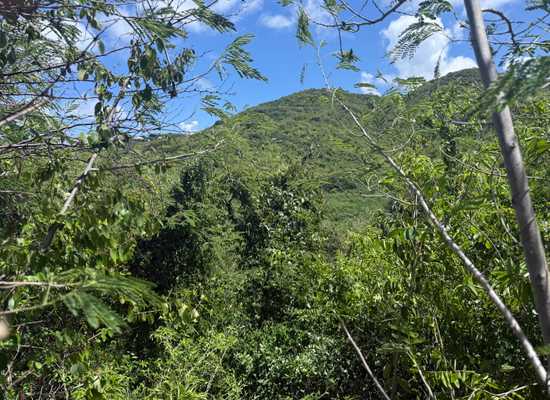 162 Cotton Valley EB, 26-622, Other, Lots and Land,  for sale - Dionne Nelthropp, Hibiscus Homes