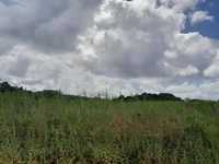 House 2933932909