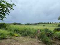House 2934000745