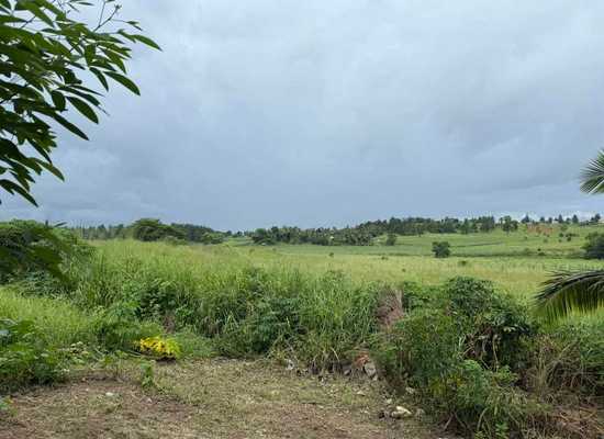 NF105 Navo, Nadi, Nadi, Farm,  for sale, PROPERTY EXPERTS 