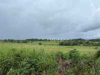House 2934000750