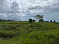 House 2934000754