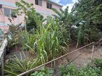 House 2935698046