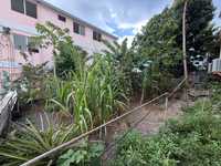 House 2935698134