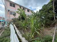 House 2935698206