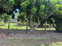 House 2941395644