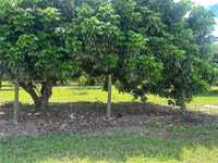 House 2941395859