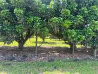 House 2941395873