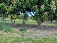 House 2941395503