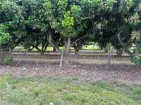 House 2941395544
