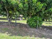 House 2941396568
