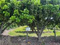 House 2941396612