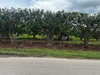 House 2941396411