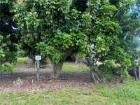 House 2941396473