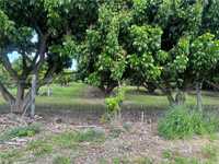 House 2941396504