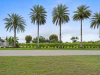 House 2942508816
