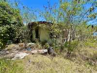 House 2942594237