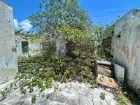 House 2942605390