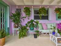 House 2960627335