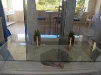 House 2946906557