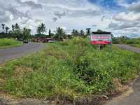 House 2951322681