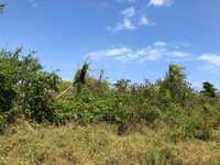 House 2955560240