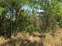 House 2955560256