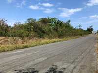 House 2955560310