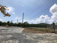 House 2955560373