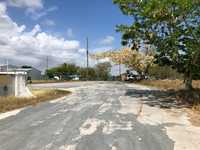 House 2955560041