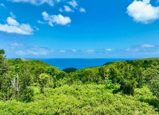 3 Nicholas NA, 24-774, Other, Lots and Land,  for sale - Dionne Nelthropp, Hibiscus Homes