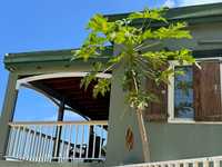 House 2959131929