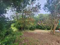 House 2960626228