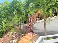 House 2960626290