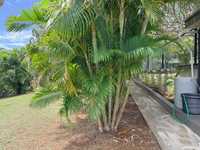 House 2960628181