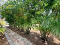 House 2960628183