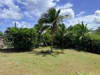 House 2960628257