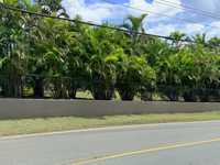 House 2960628281